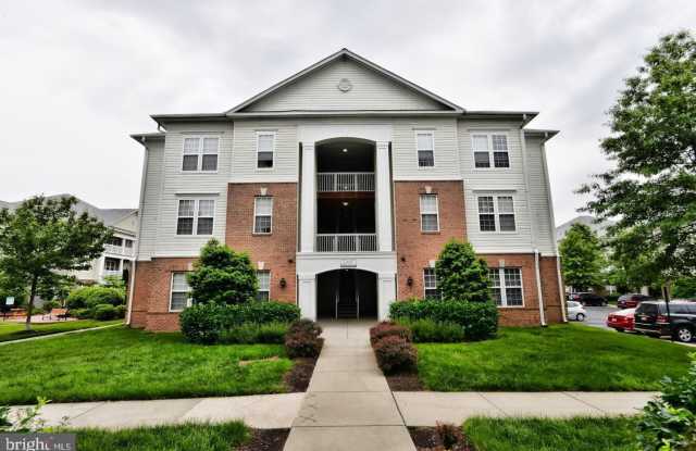22687 BLUE ELDER TERRACE Gallery 2