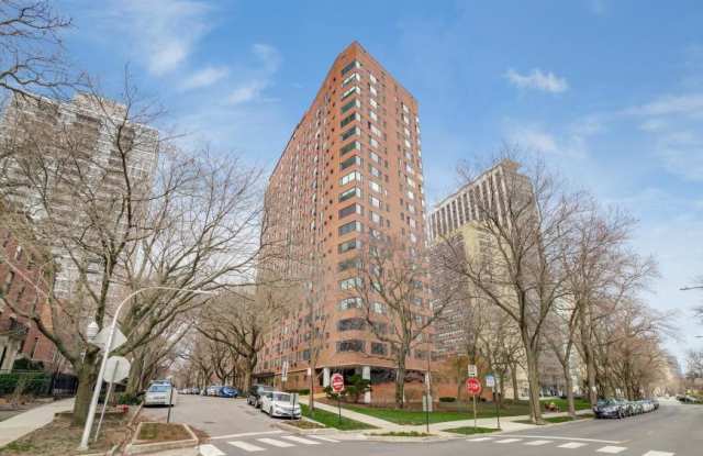 3100 North Lake Shore Dr. Gallery 1
