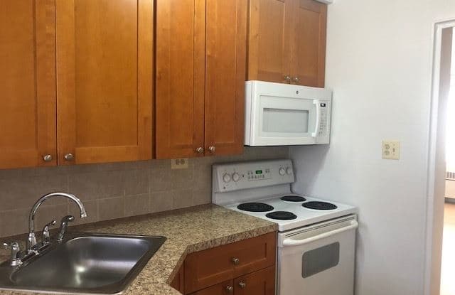 6218 N. Whipple Street 2W - 6218 North Whipple Street, Chicago, IL 60659