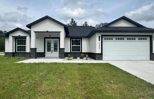 BRAND NEW CONSTRUCTION HOME FOR RENT Gallery 1