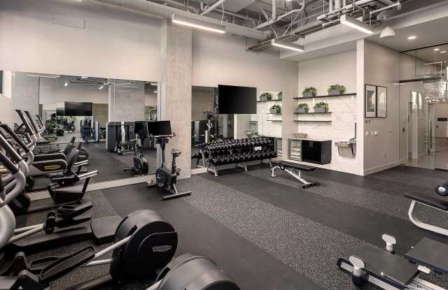 ALX Apartments Gallery 3