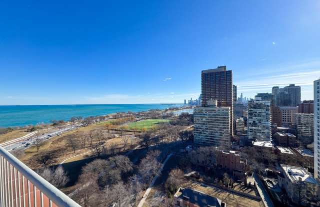 3100 N Lake Shore Drive Gallery 3