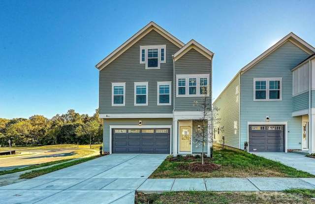 9038 Henry Thoreau Road - 9038 Henry Thoreau Road, Charlotte, NC 28214