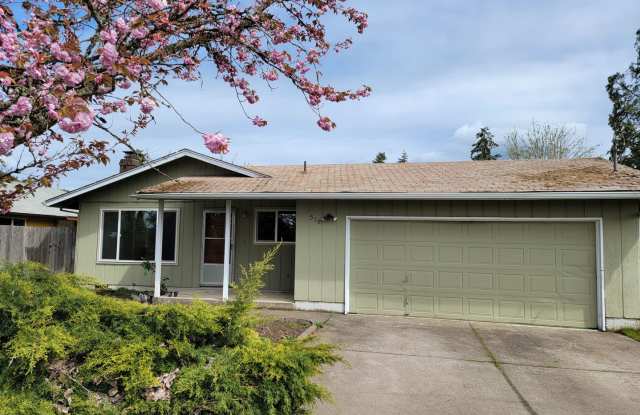 New paint and flooring photos photos