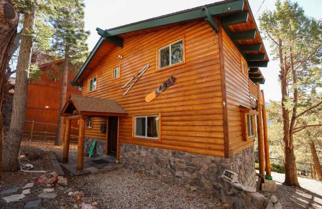 43615 Wolf Road Gallery 2