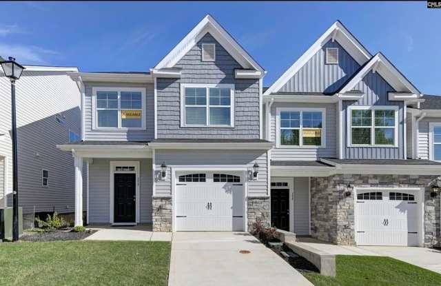 Kensington Place Town Homes Lexington - 158 Potano Drive, Lexington County, SC 29072