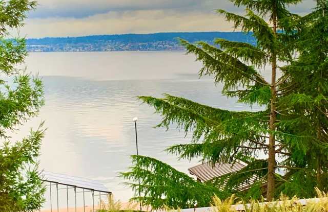 3134 E Laurelhurst Dr. NE, lower unit - 3134 East Laurelhurst Drive Northeast, Seattle, WA 98105
