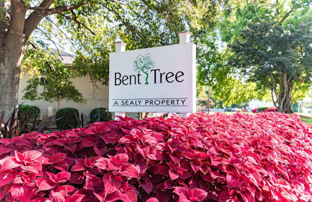 Bent Tree photos photos
