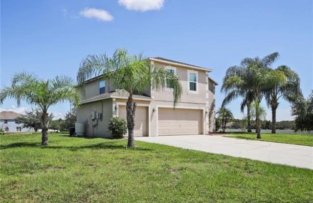 17006 Patton Court - 17006 Patton Court, Lutz, FL 33559