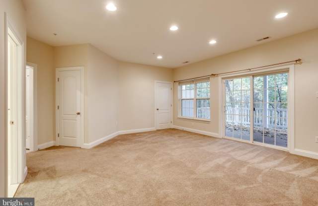 9949 VEILED DAWN Gallery 4
