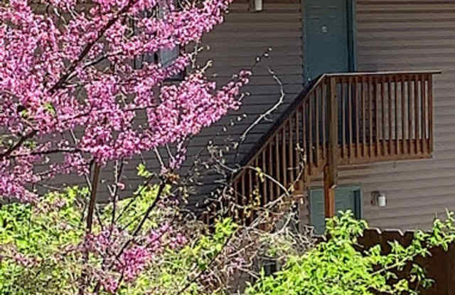 Moss Creek Apartments Gallery 3