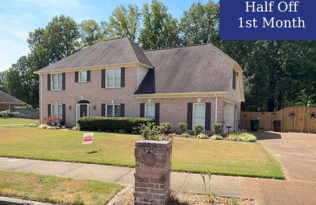 Beautiful 4 Bedroom - 2.5 Bath | Collierville | Includes Appliances HALF OFF THE FIRST MONTH'S RENT photos photos Beautiful 4 Bedroom - 2.5 Bath | Collierville | Includes Appliances HALF OFF THE FIRST MONTH'S RENT photos photos