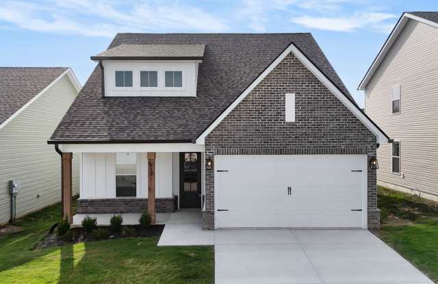 Spacious & Sunlit Daisy Floor Plan w/ Oversized Bonus Loft in James Creek Gallery 1