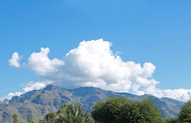 Mountain Village Apartments Gallery 4
