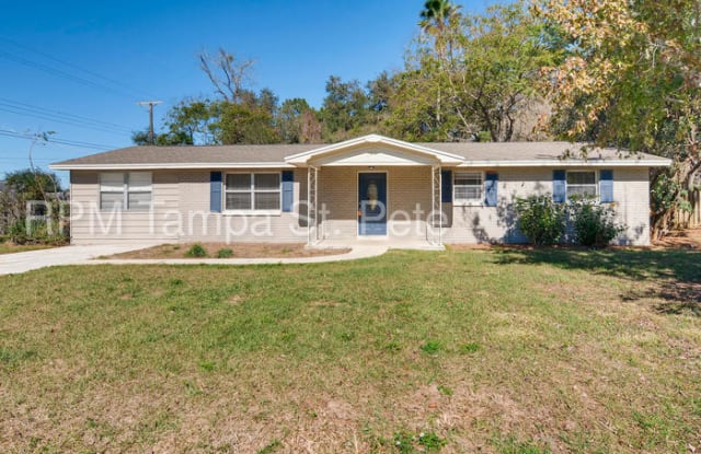 5110 Twin Pine Drive - 5110 Twin Pine Drive, Hillsborough County, FL 33566