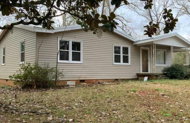 318 Thames Street - 318 Thames Street, Greenville, AL 36037