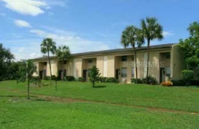 4521 La Carmen Court - 4521 La Carmen Court, Tampa, FL 33611