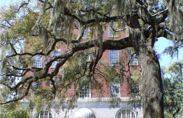 321 Abercorn St. - 321 Abercorn Street, Savannah, GA 31401