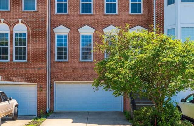 43831 CHADWICK Terrace photos photos