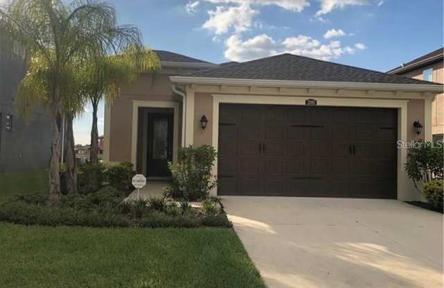 28981 TREVI PLACE - 28981 Trevi Place, Wesley Chapel, FL 33543