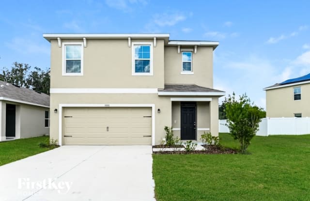 11010 Leland Groves Drive - 11010 Leland Groves Drive, Riverview, FL 33579