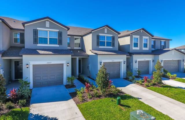 14256 Riva Ridge Place - 14256 Riva Ridge Pl, Apollo Beach, FL 33573