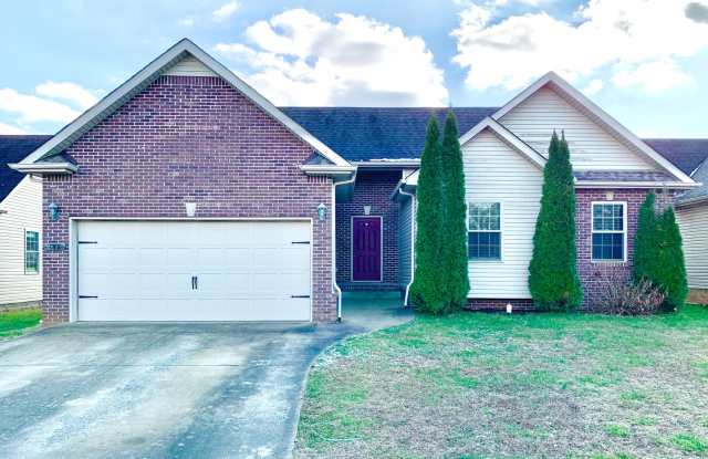 842 Shelton Cir - 842 Shelton Circle, Clarksville, TN 37042