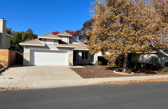 293 Amberleaf Way - 293 Amberleaf Way, Brentwood, CA 94513