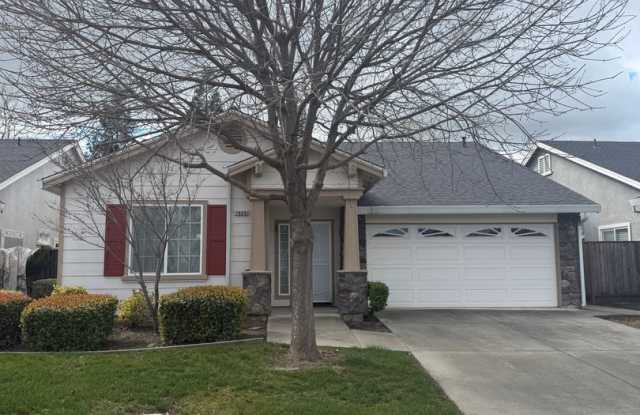 Hampton Park photos photos