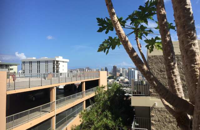 Great studio for rent in in the heart of Town. - 1025 Maunaihi Place, Honolulu, HI 96822