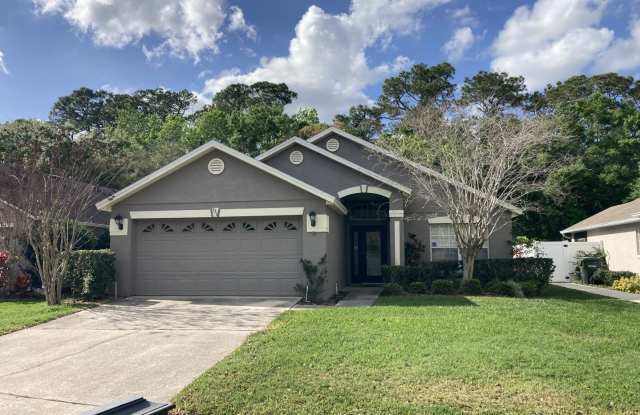 533 DUNOON ST. ORANGE COUNTY - 533 Dunoon Street, Ocoee, FL 34761