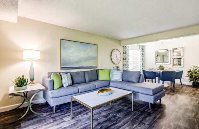 Alder Bellevue Gallery 2
