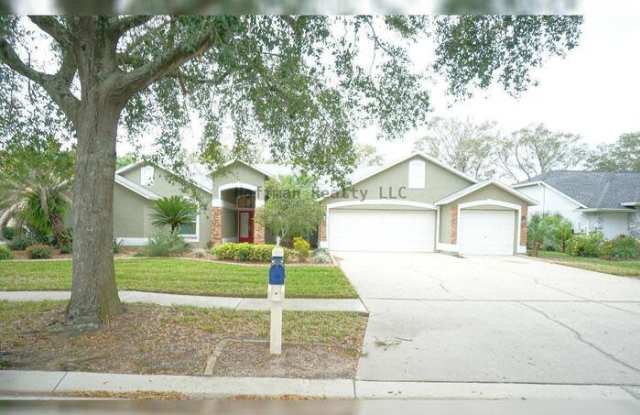 3807 Turkey Oak Drive - 3807 Turkey Oak Drive, Valrico, FL 33596