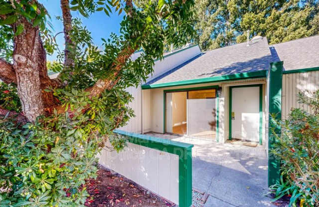 539 Norlee Street - 539 Norlee Street, Sebastopol, CA 95472