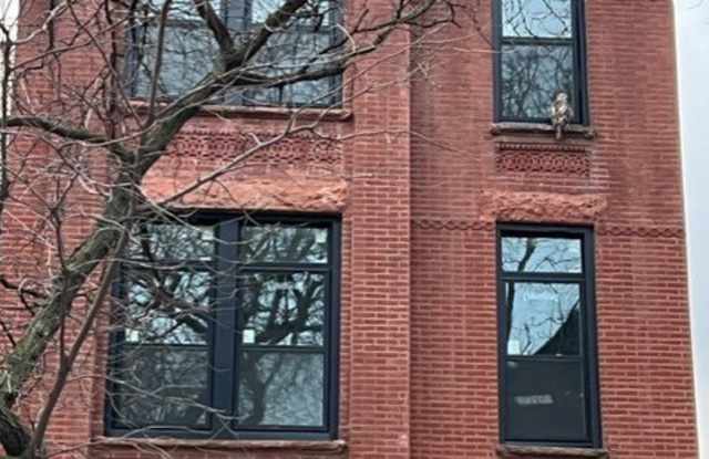 2715 W Potomac Street unit: 3 photos photos