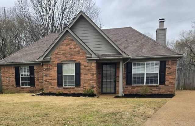 5534 LACEY - 5534 Lacey Cove, Shelby County, TN 38135 5534 LACEY - 5534 Lacey Cove, Shelby County, TN 38135