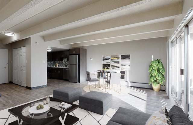 Dolphin photos photos