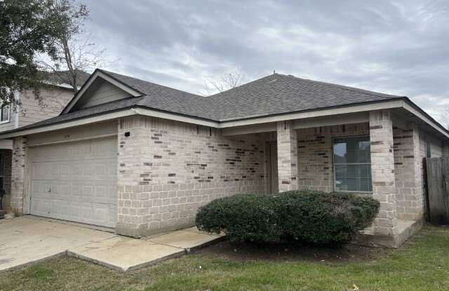 7018 Heathers photos photos