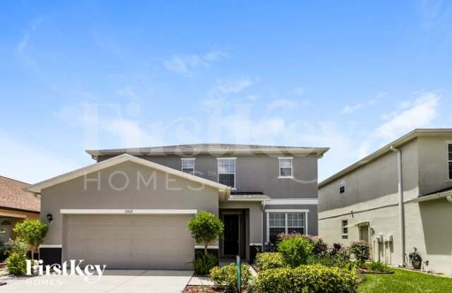 13503 Red Ear Court - 13503 Red Ear Court, Riverview, FL 33569