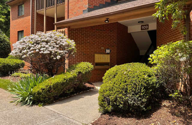 Turtle Creek 2 bedroom/2 Bath Condo available- enjoy the pool this summer! Walk to Stonefield! - 109 Turtle Creek Road, Albemarle County, VA 22901