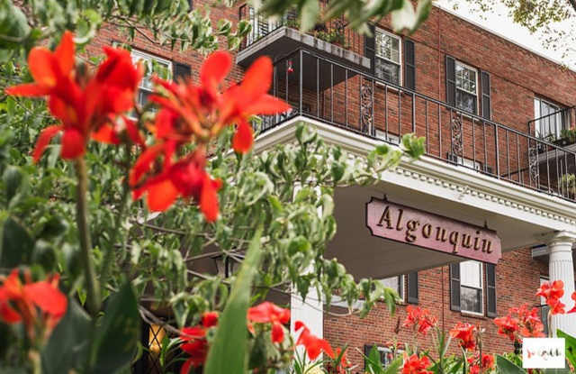 Algonquin Apartments Gallery 4
