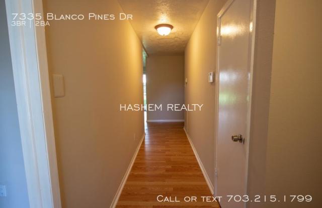 7335 Blanco Pines Dr Gallery 2