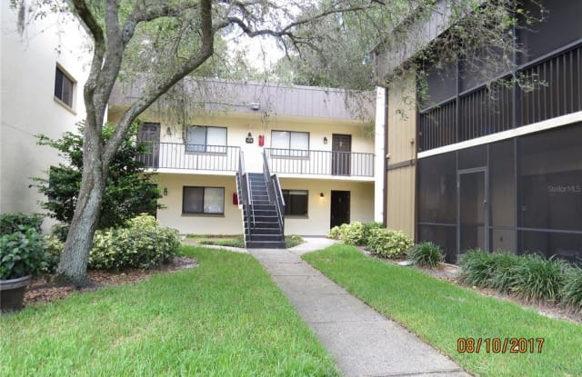 11718 RAINTREE LAKE LANE - 11718 Raintree Lake Lane, Temple Terrace, FL 33617