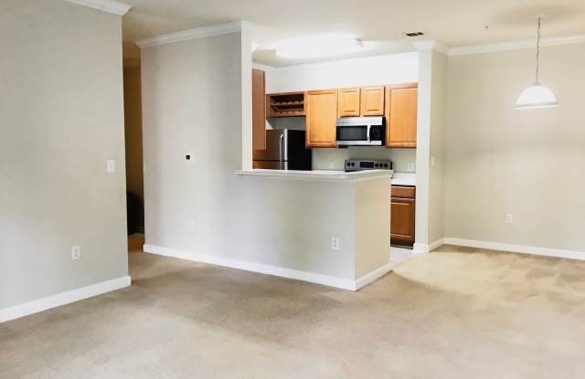 18455 Bridle Club Dr. Gallery 4