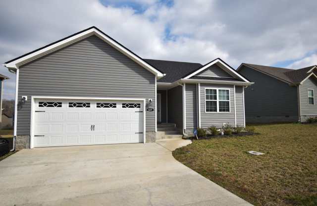 3 Bedroom Pet Friendly Home For Rent in Chalet Hills! photos photos