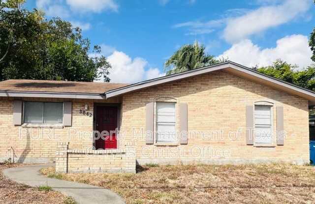 3842 Tiger Lane Gallery 3