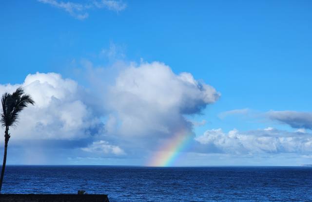 1367 Kakae Place photos photos 1367 Kakae Place photos photos