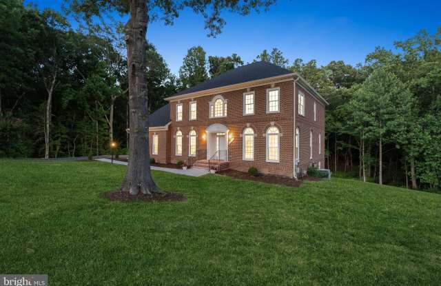 10899 WOODLAND FALLS DRIVE Gallery 2