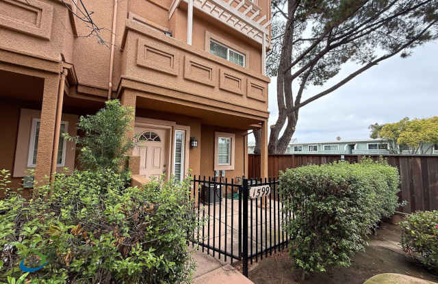$3195 - Tri-level Town modern townhome in small Cambrian Community photos photos