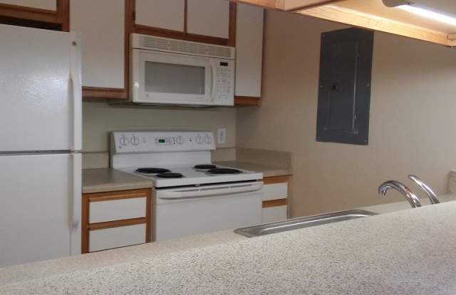 1351-103 Crab Orchard Drive - 1351 Crab Orchard Dr, Raleigh, NC 27606